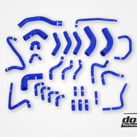 Audi RS6 C5 2002-2004 Vacuum hoses Black/Blue